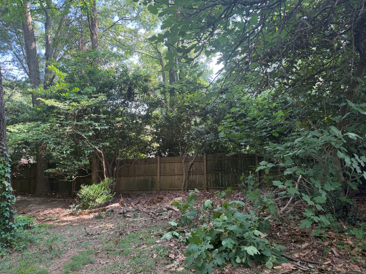 Backyard after the play structure was removed, with brush and wood remaining