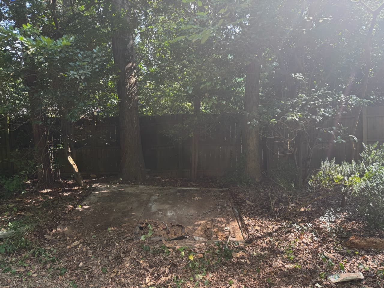 Exposed concrete slab after the garden shed was removed